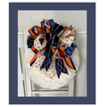 Blue and Orange Bow